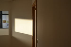 Arca (3)   